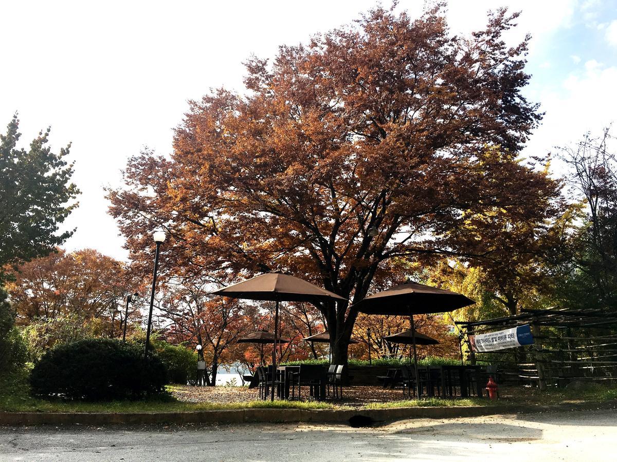 Corea Condo Gyeongju Dış mekan fotoğraf