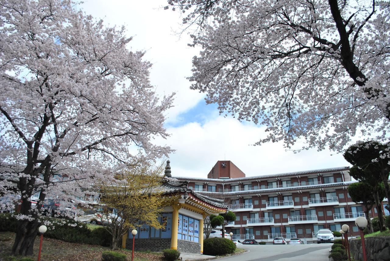 Corea Condo Gyeongju Dış mekan fotoğraf