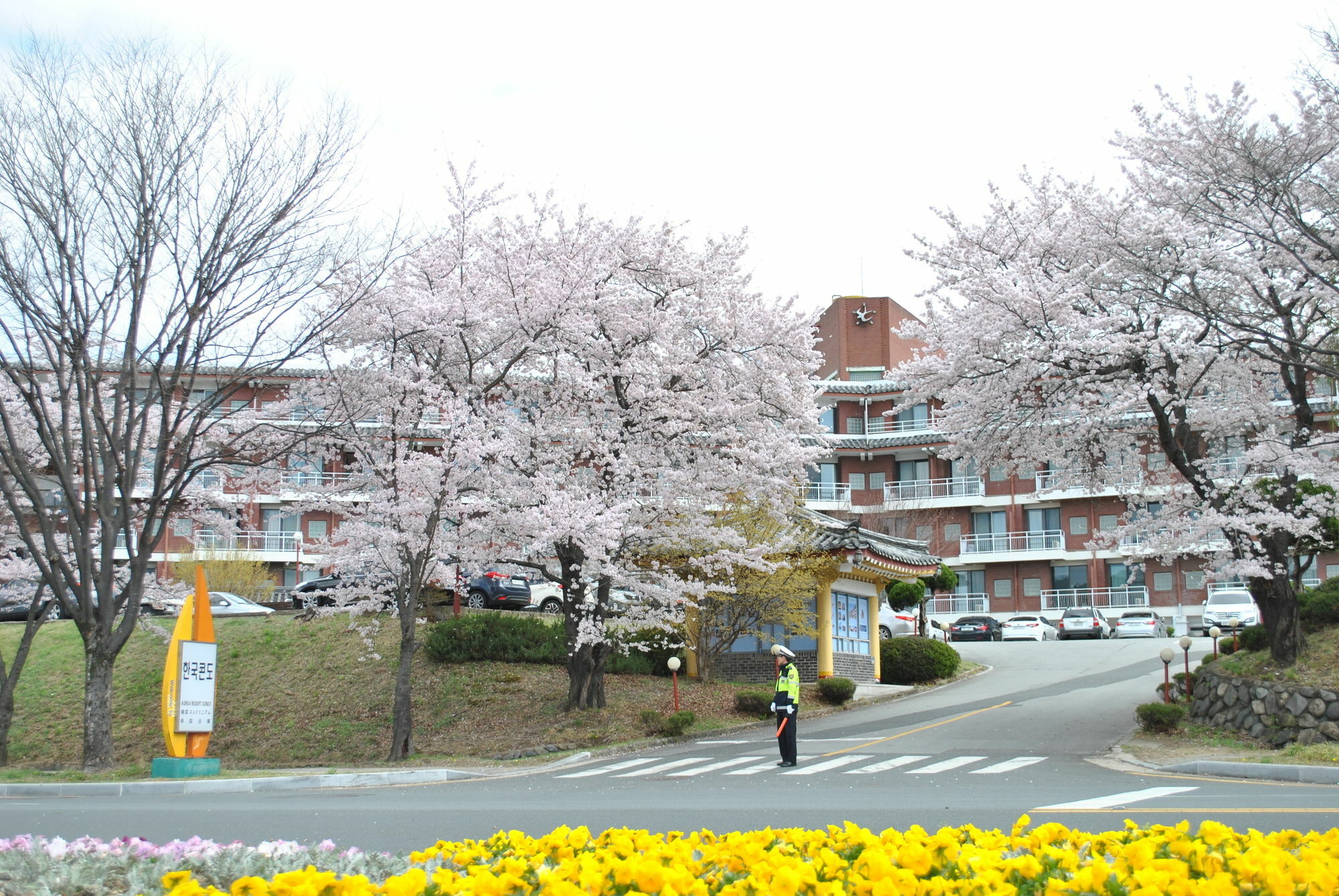 Corea Condo Gyeongju Dış mekan fotoğraf