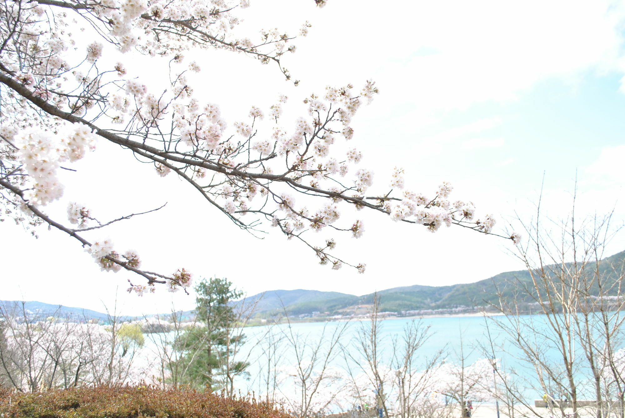 Corea Condo Gyeongju Dış mekan fotoğraf