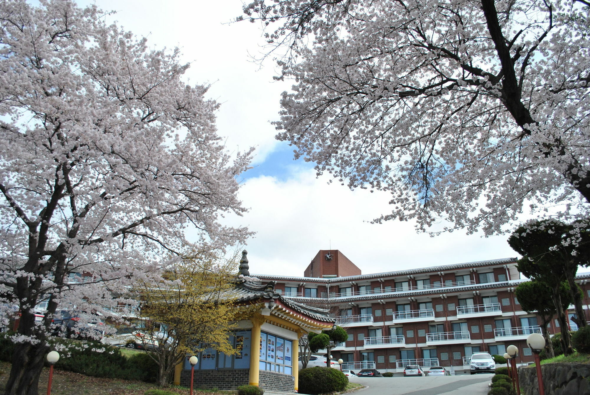Corea Condo Gyeongju Dış mekan fotoğraf