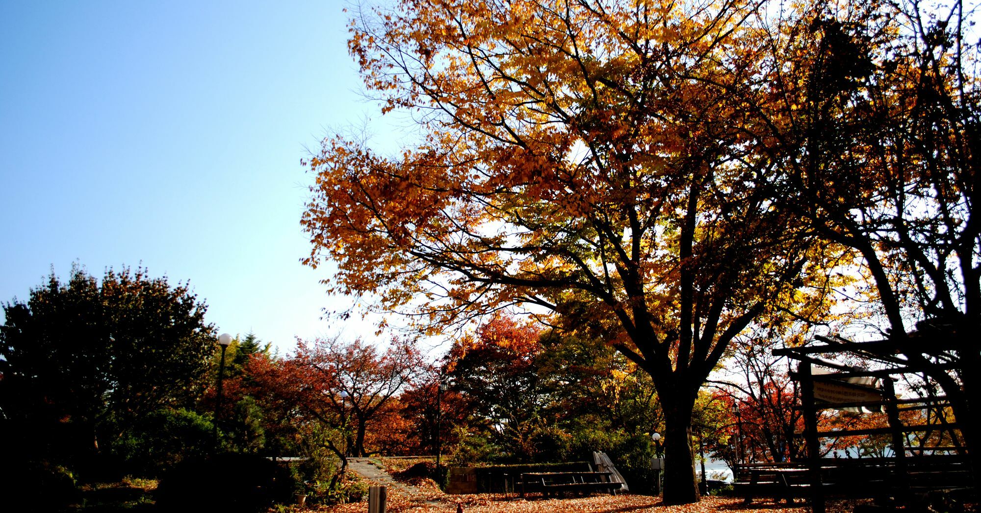 Corea Condo Gyeongju Dış mekan fotoğraf