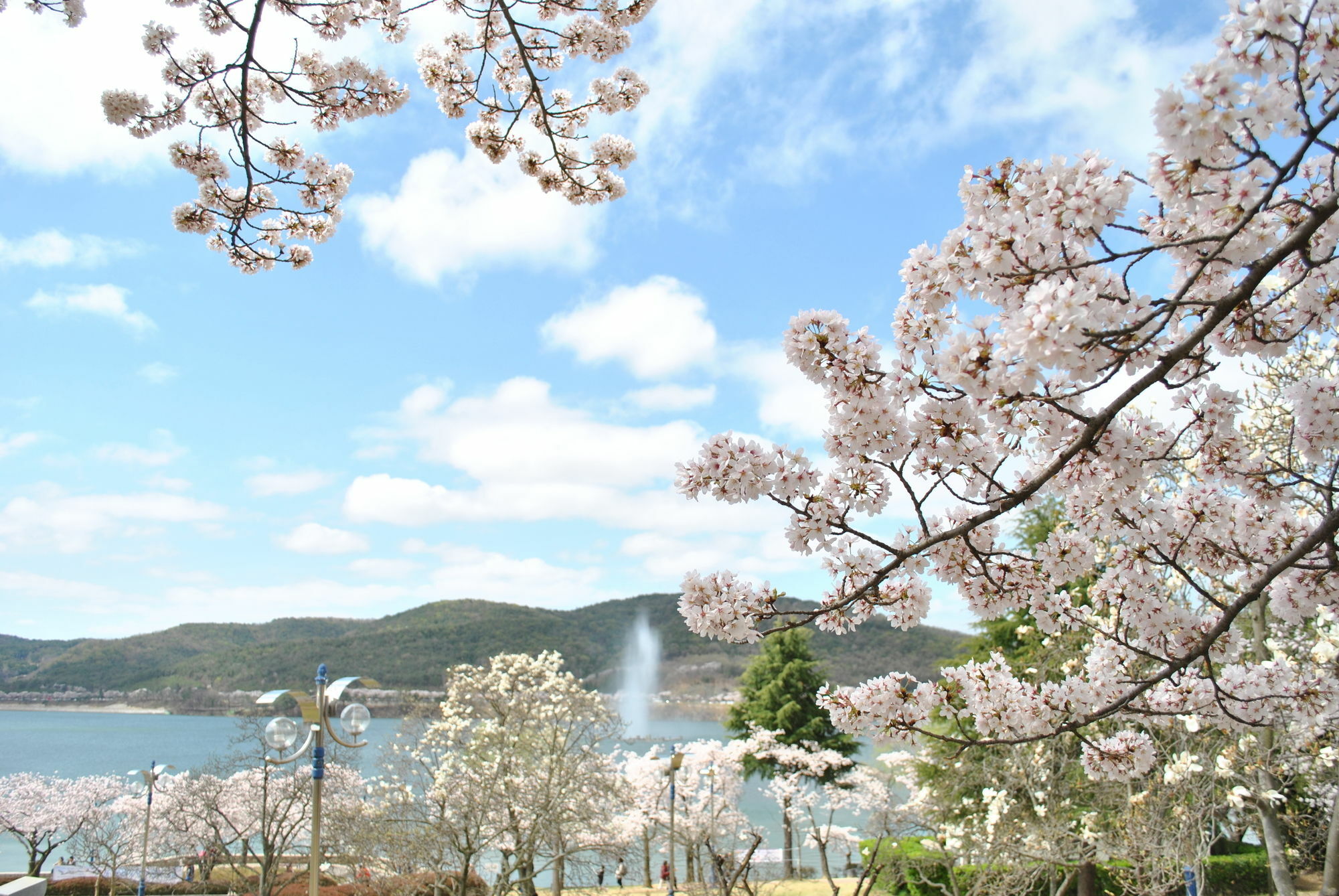 Corea Condo Gyeongju Dış mekan fotoğraf